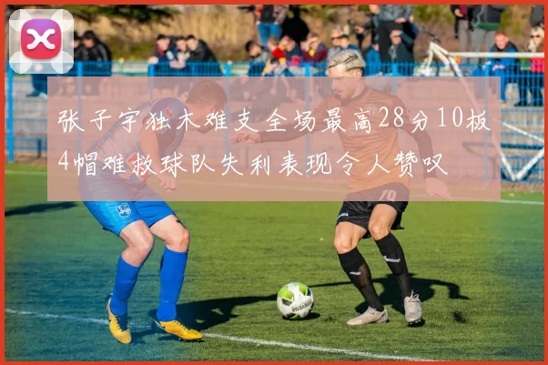 张子宇独木难支全场最高28分10板4帽难救球队失利表现令人赞叹